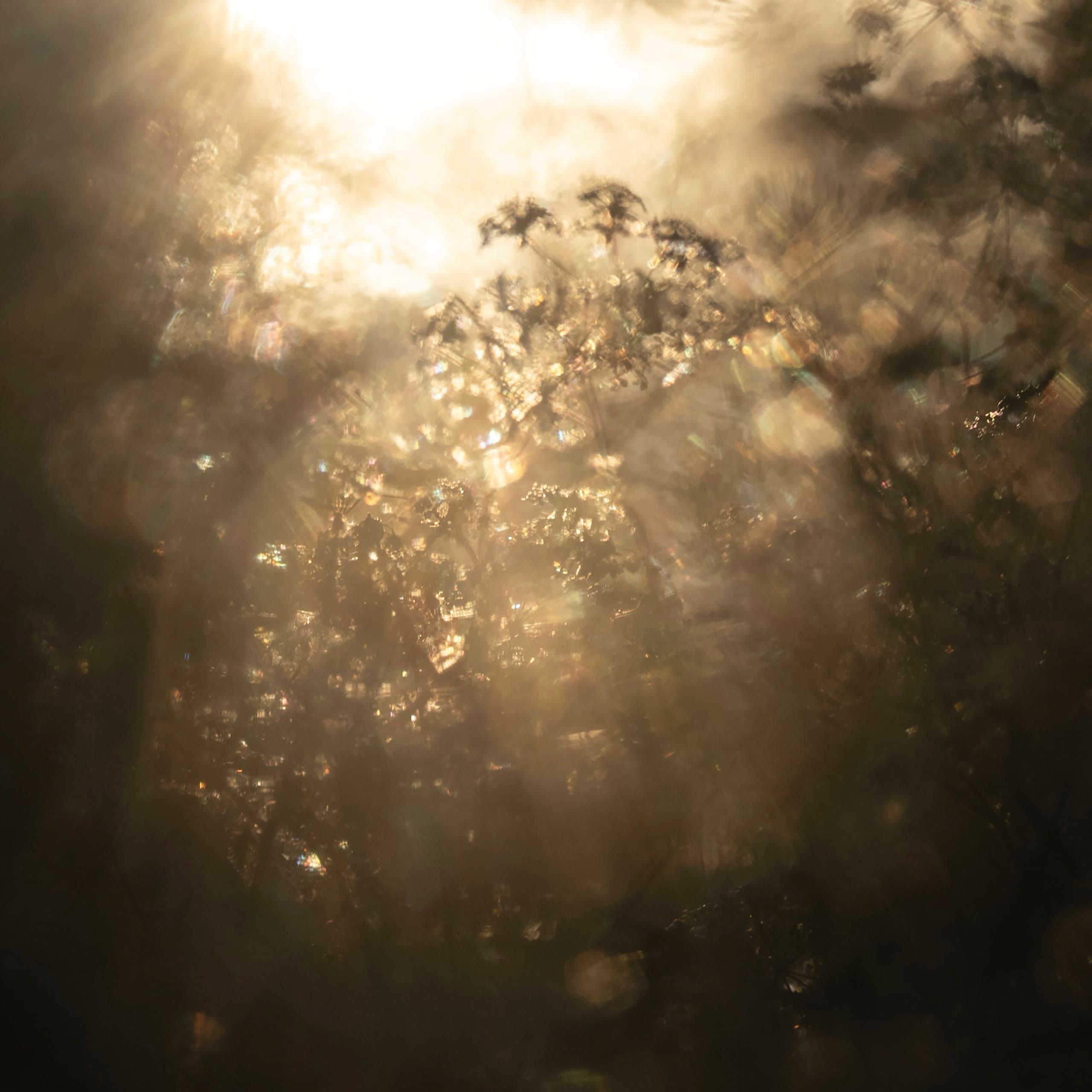 Reimagine Your Existence artwork